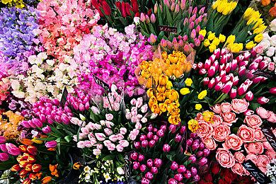 经典大富翁《富甲天下3》Steam发售 国区定价49元