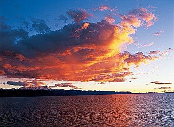 《匹诺曹的谎言》官方B站微博账号上线 分享中文版预告